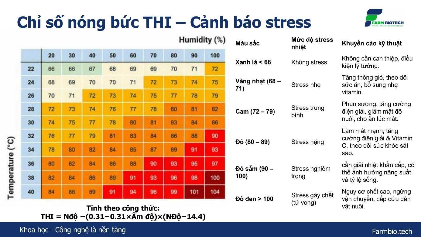 STRESS NHIỆT & CẢNH BÁO SỚM 10 THÔNG SỐ CẦN THEO DÕI MỖI NGÀY TRONG CHUỒNG NUÔI